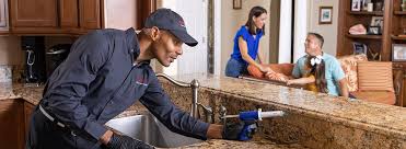 Emergency Pest Control in Englewood, FL